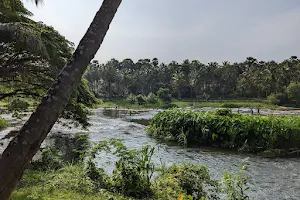 Mulaiyar river image