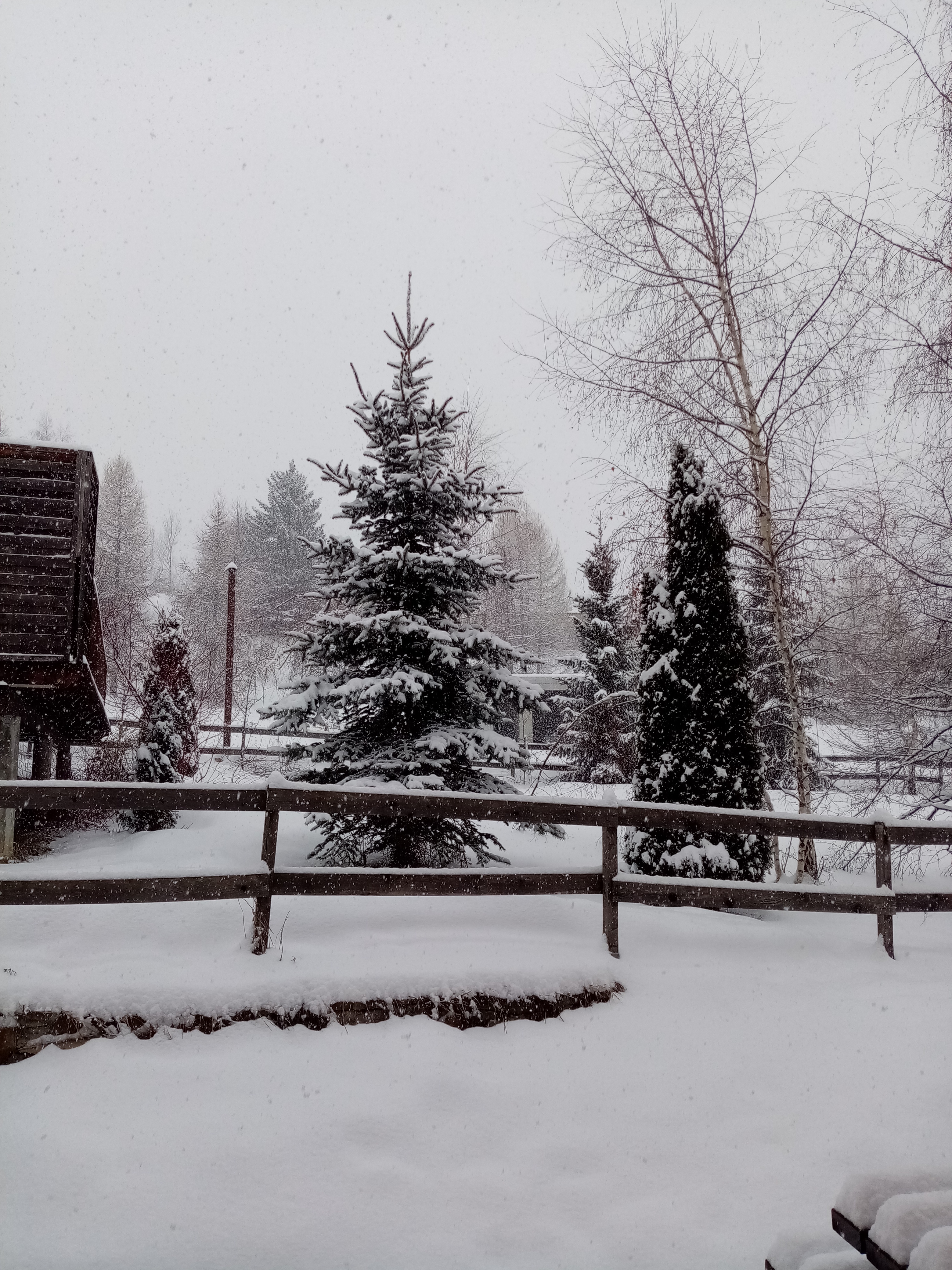 Photo n° 2 de l'avis de sandrine.u fait le 28/02/2020 à 18:43