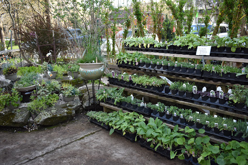 Garden Center «Stonewall Garden Center», reviews and photos, 4675 PA-447, Canadensis, PA 18325, USA