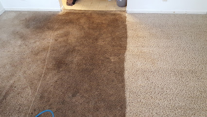 BIG DOG Carpet & Tile Cleaning