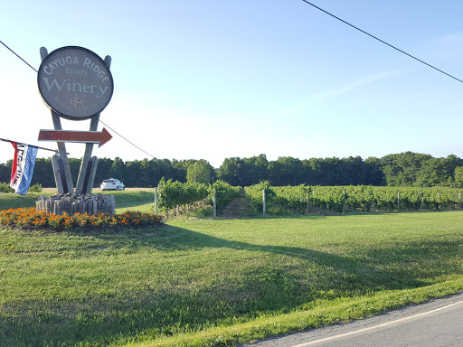 Winery «Cayuga Ridge Estate Winery», reviews and photos, 6800 NY-89, Ovid, NY 14521, USA