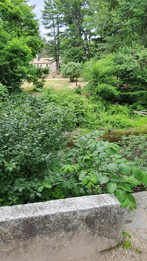 Disc Golf Course «Bellamy Park Disc Golf», reviews and photos, Bellamy Rd, Dover, NH 03820, USA