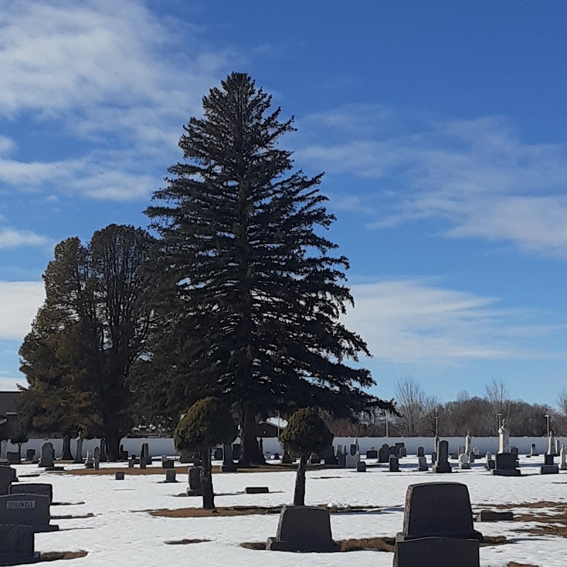 Star Cemetery Maintenance District