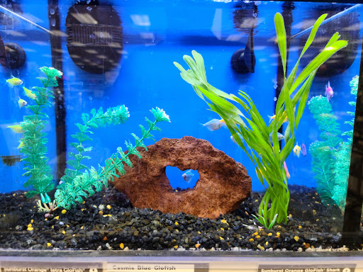 Pet Supply Store «Petco Animal Supplies», reviews and photos, 7215 170th Ave NE #115, Redmond, WA 98052, USA