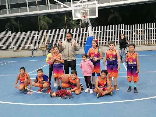 Contratista de canchas de basquetbol Aguascalientes