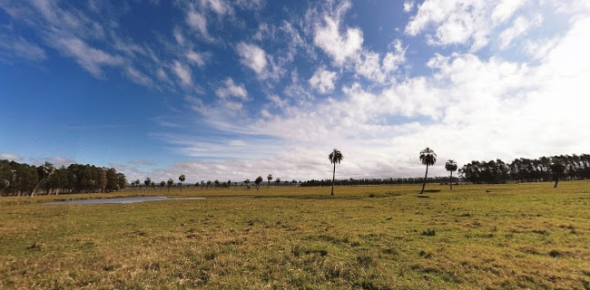 Ruta 16, km 5, Castillos, Departamento de Rocha, Uruguay