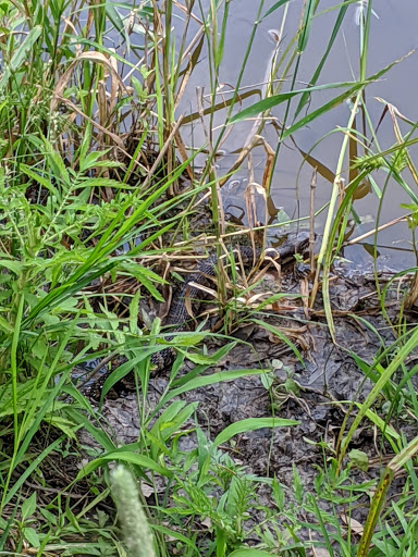 Nature Preserve «Hickory Creek Preserve», reviews and photos, Wolf Rd, Mokena, IL 60448, USA