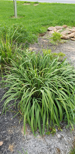 Nature Preserve «Sadsbury Woods Preserve», reviews and photos, Ramblewood Dr & Northwood Dr, Coatesville, PA 19320, USA