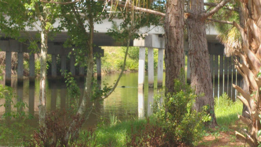 Park «Channel Park Pavillion, Upper Tampa Bay Trail», reviews and photos, 9201 W Waters Ave, Tampa, FL 33615, USA