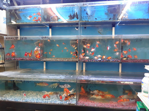 Pet Store «34 Pet Shop», reviews and photos, 3434 W Slauson Ave, Los Angeles, CA 90043, USA