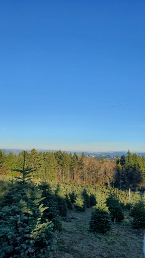 Gift Shop «Sleighbells Of Sherwood (Seasonal Business Open July1-December 23)», reviews and photos, 23855 SW 195th Pl, Sherwood, OR 97140, USA