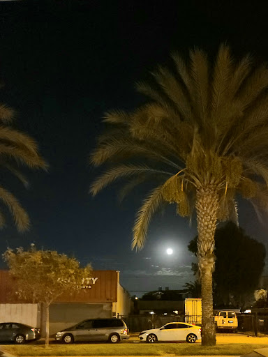 Discount Store «K Discount Store», reviews and photos, 8029 Eastern Ave, Bell Gardens, CA 90201, USA