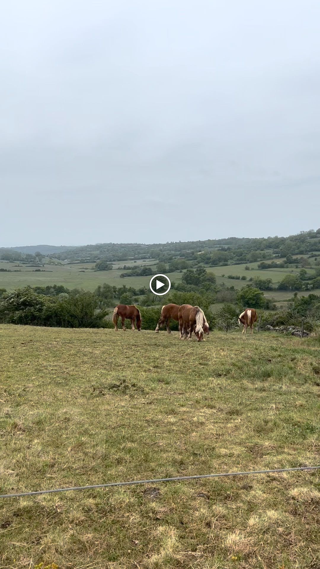 Photo n° 8 de l'avis de Moh. fait le 20/05/2023 à 15:49