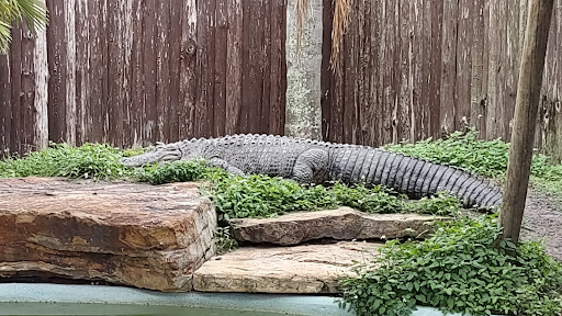 Theme Park «Fun Spot America Theme Parks-Orlando», reviews and photos, 5700 Fun Spot Way, Orlando, FL 32819, USA