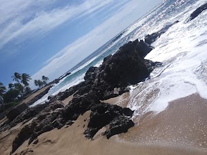Mkaha Beach Park - photo 52