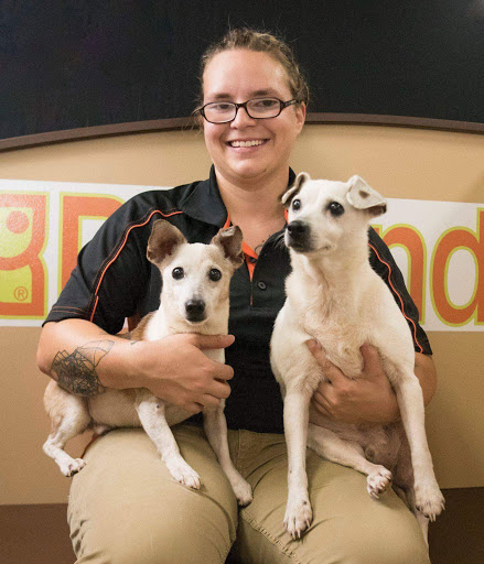 Pet Store «Petland», reviews and photos, 1514 Stonecreek Dr, Pickerington, OH 43147, USA