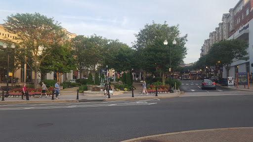 Ice Cream Shop «Nicecream», reviews and photos, 2831 Clarendon Blvd, Arlington, VA 22201, USA