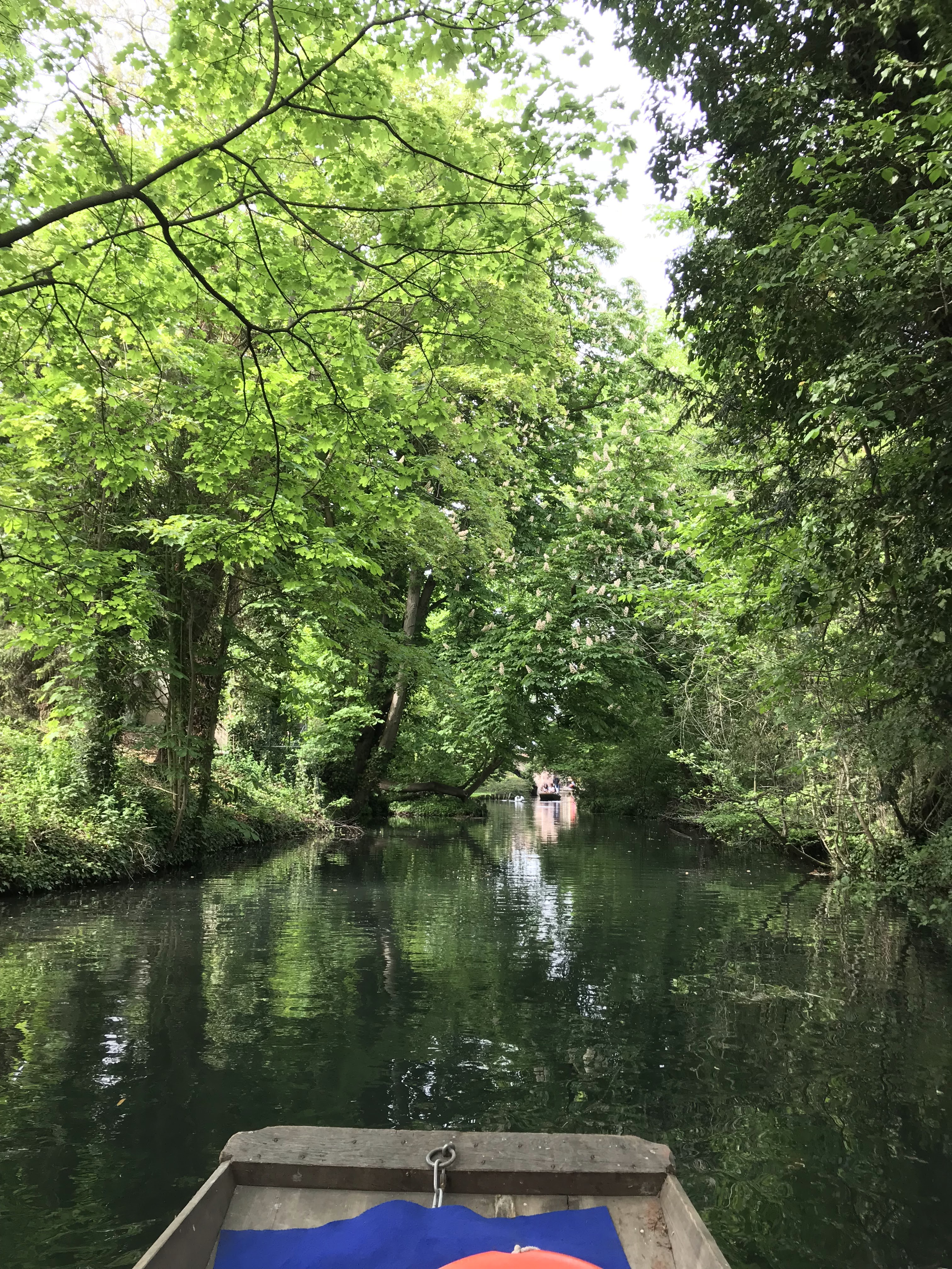Photo n° 14 de l'avis de M.P fait le 29/04/2018 à 19:25