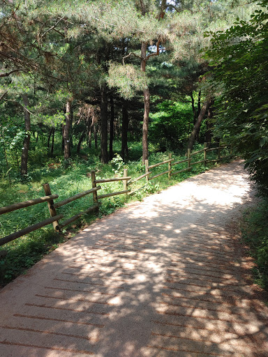 Namsan Outdoor Botanical Garden