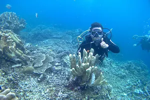 Taman Laut Olele image