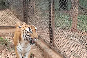 Kamalapur Zoo image