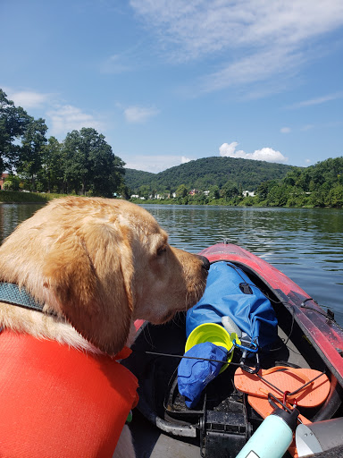Outdoor Sports Store «Allegheny Outfitters Outdoors Store», reviews and photos, 430 Pennsylvania Ave W, Warren, PA 16365, USA