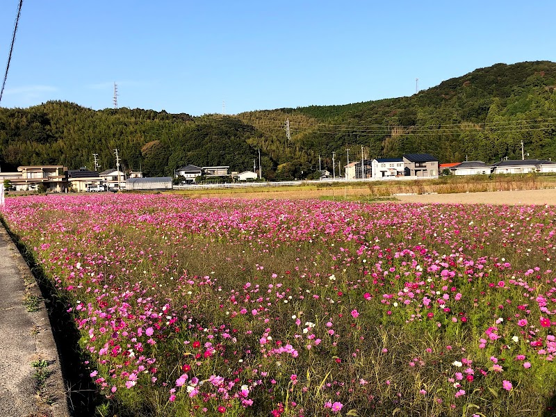 阿南市立明見児童公園