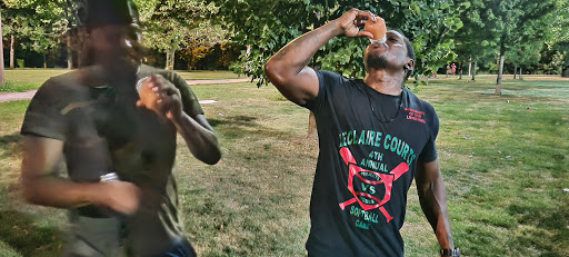 Park «Chicago Park District Leclaire», reviews and photos, 5120 W 44th St, Chicago, IL 60638, USA