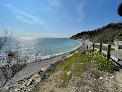 Foto von Arene dog beach wilde gegend