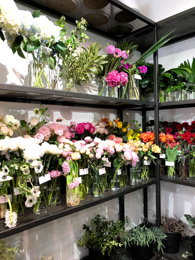 Florist «Green Fresh Florals», reviews and photos, 3785 Fourth Ave, San Diego, CA 92103, USA