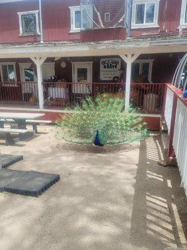 Zoo «Sierra Safari Zoo», reviews and photos, 10200 N Virginia St, Reno, NV 89506, USA