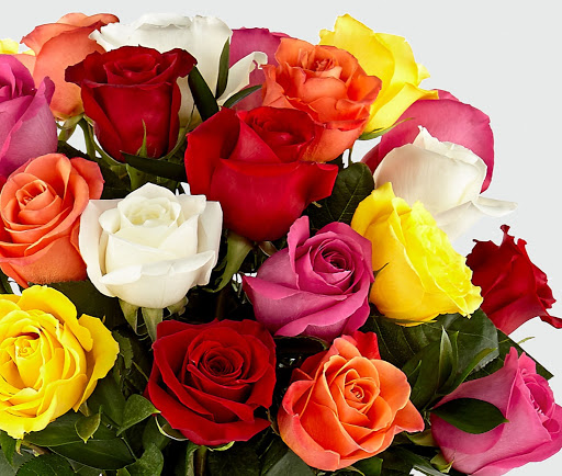 Florist «Sunshine Floral», reviews and photos, 1903 George St, La Crosse, WI 54603, USA