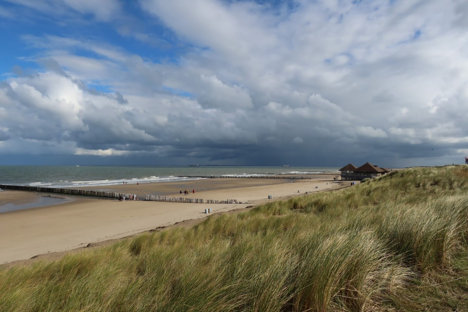 Fotografija Cadzand strand z dolga ravna obala