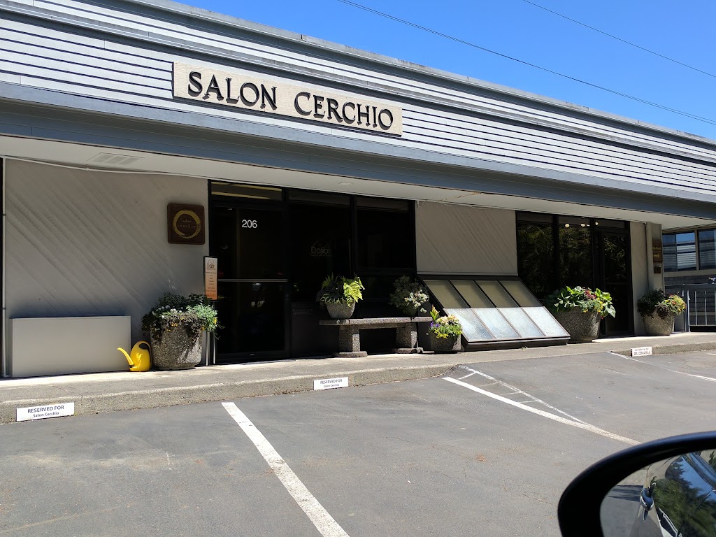 Salon Cerchio 98005