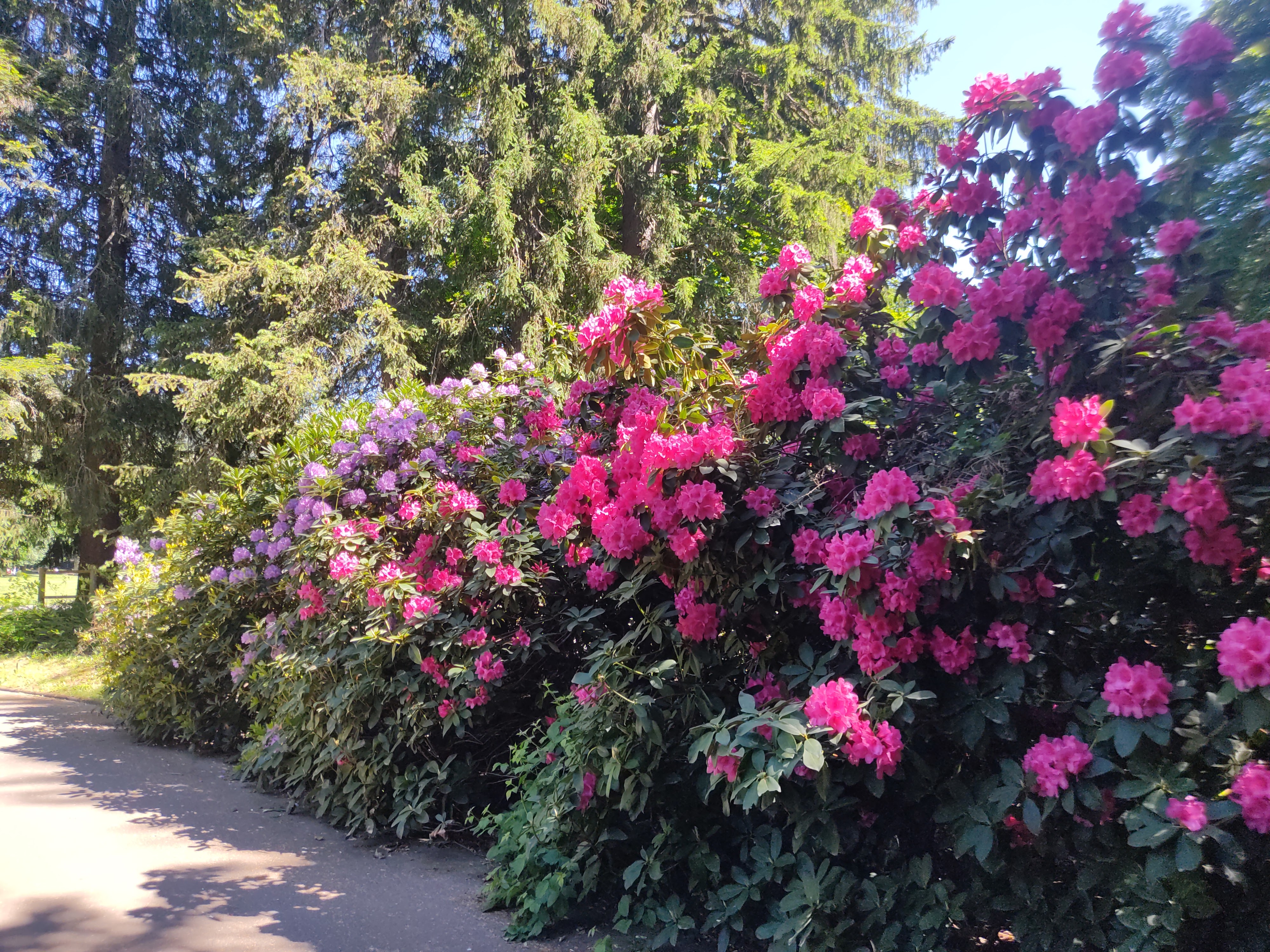 Photo n° 25 de l'avis de David.i fait le 29/05/2022 à 19:15