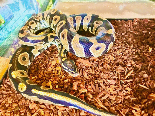 Pet Supply Store «E & M Pet Shop», reviews and photos, 5900 Whittier Blvd, Los Angeles, CA 90022, USA