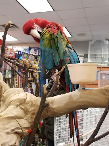 Pet Store «Ark Pet Shop», reviews and photos, 2400 W Lincoln Hwy, Merrillville, IN 46410, USA