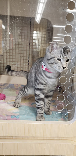 Pet Supply Store «Petco Animal Supplies», reviews and photos, 35 Fort Eddy Rd, Concord, NH 03301, USA