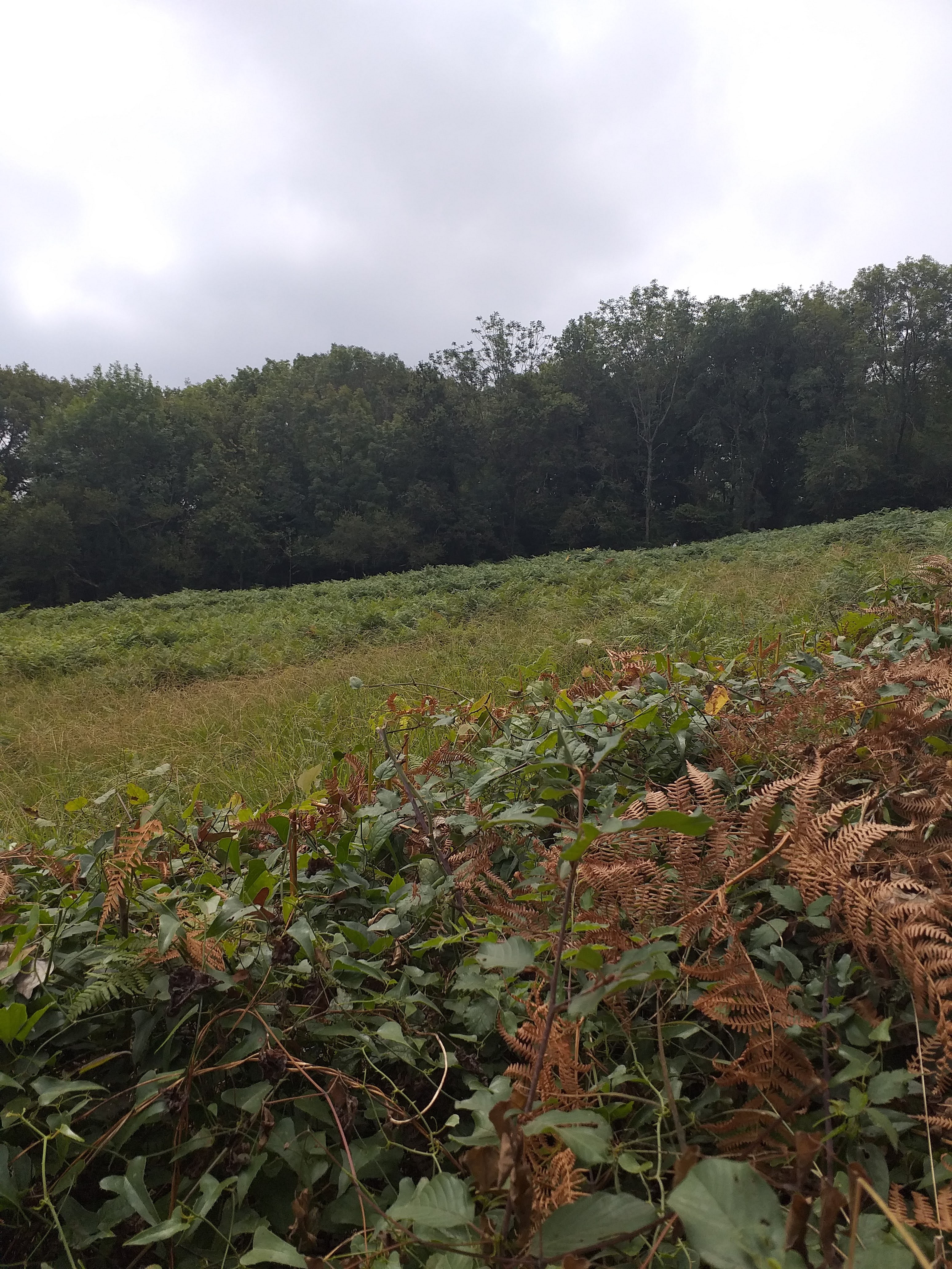 Photo n° 9 de l'avis de Isabel.e fait le 12/08/2022 à 13:40