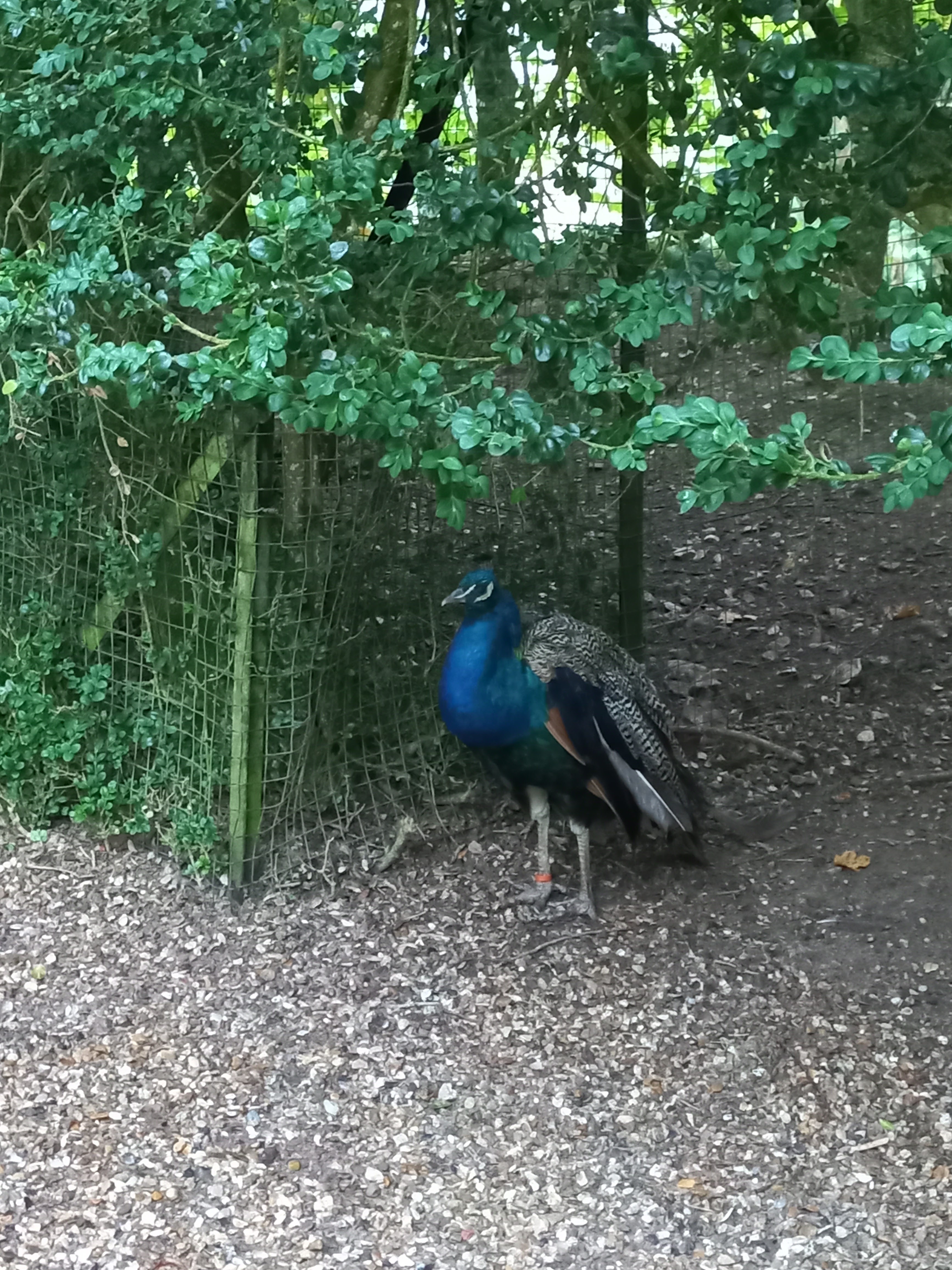 Photo n° 3 de l'avis de Ôtsuki. fait le 16/10/2022 à 14:47