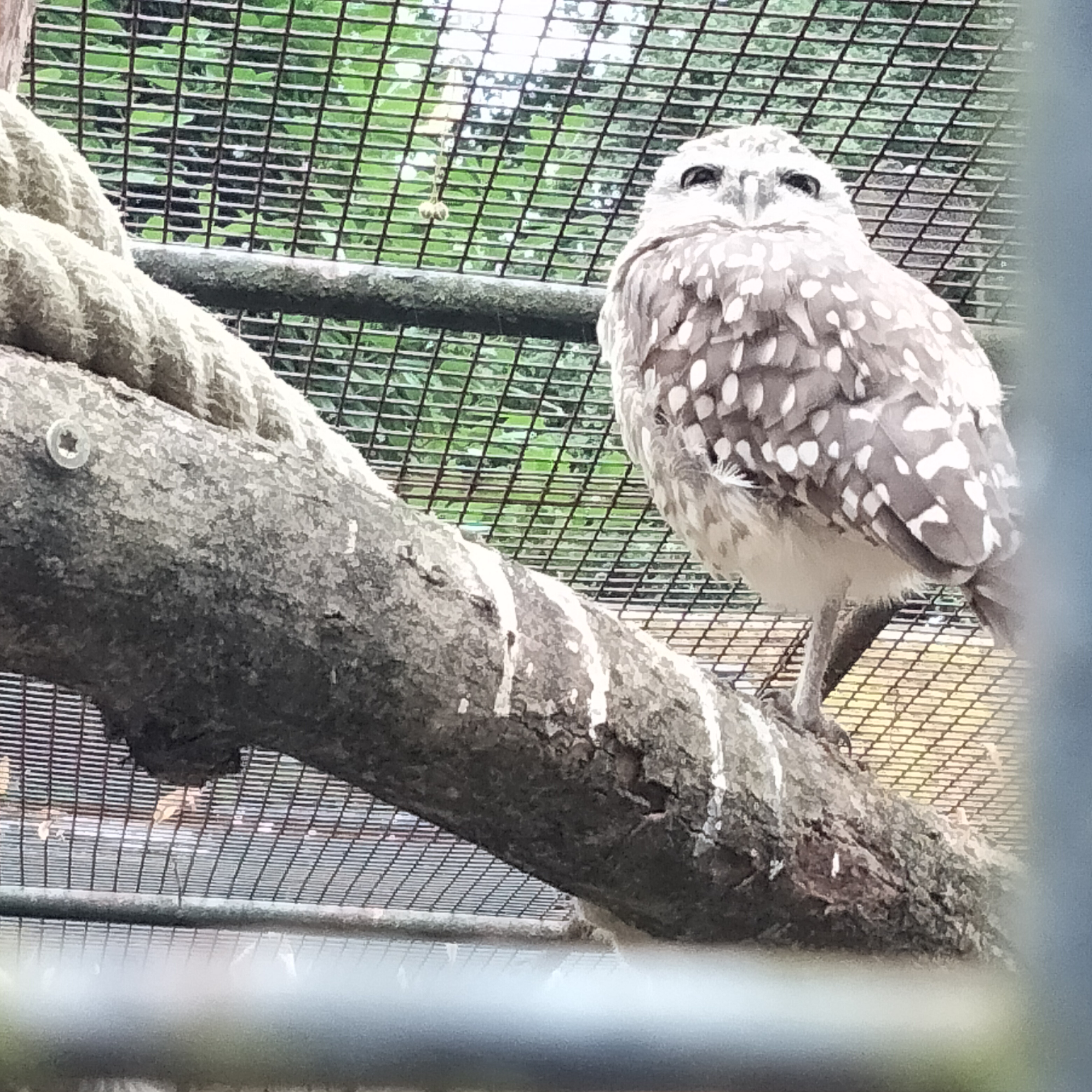 Photo n° 2 de l'avis de Patricia.i fait le 31/07/2023 à 13:25