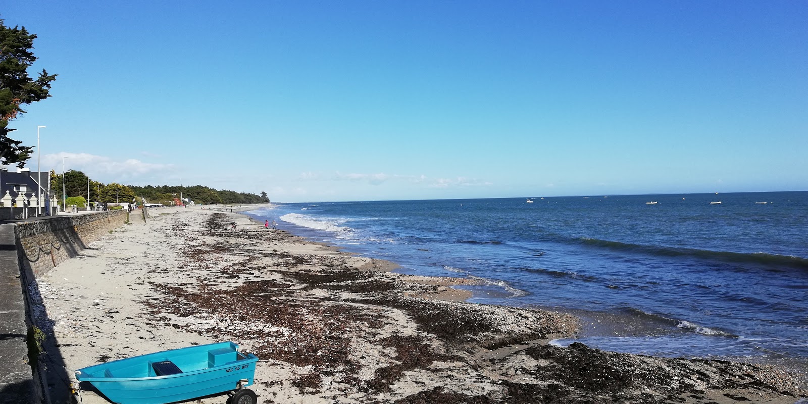 Foto de Plage De Roaliguen con parcialmente limpio nivel de limpieza