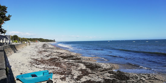 Plage De Roaliguen