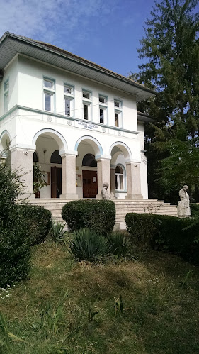 palatulcopiilorpitesti.ro