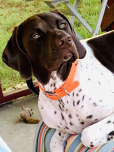 30 New Philadelphia Rd, Orwigsburg, PA 17961, USA