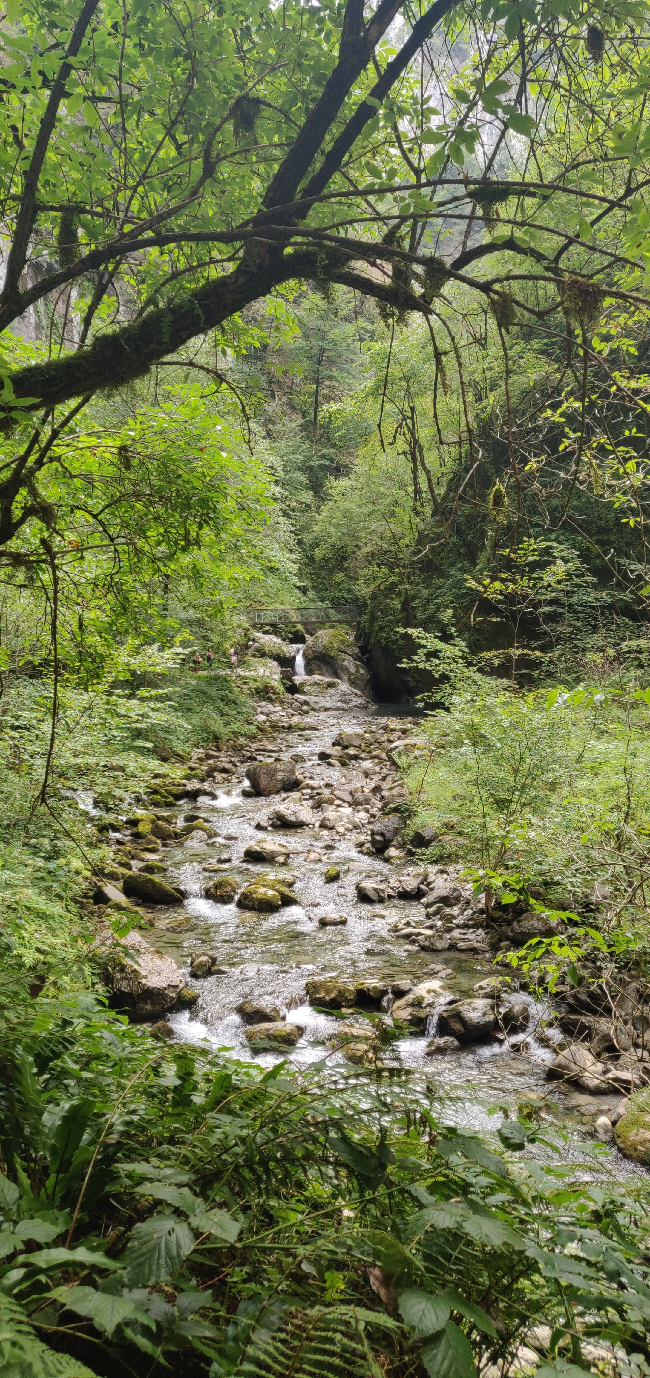 Photo n° 14 de l'avis de Jis.e fait le 27/08/2019 à 11:57