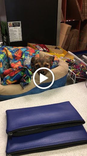 Shipping and Mailing Service «PostalAnnex+», reviews and photos, 6844 Bardstown Rd, Louisville, KY 40291, USA