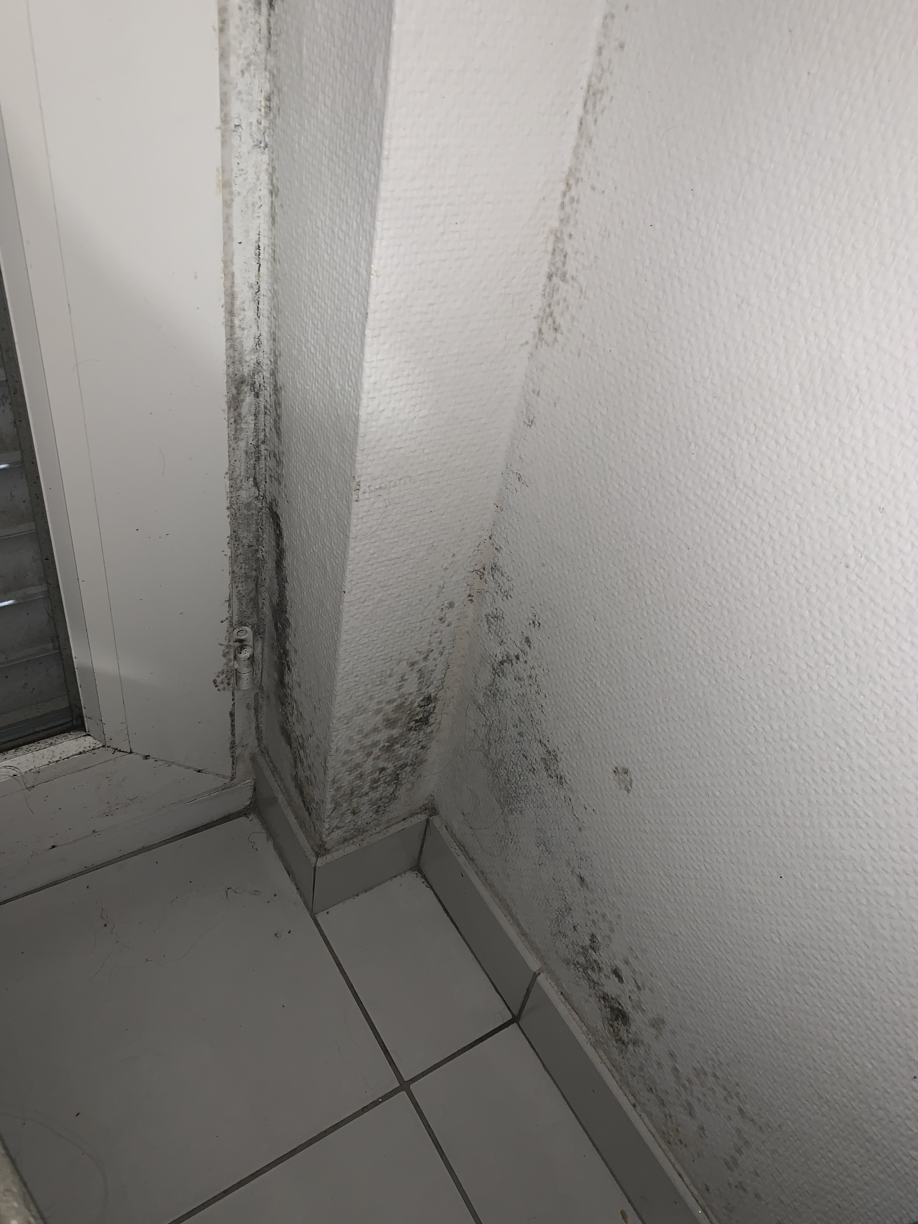 Photo n° 4 de l'avis de Mathis.a fait le 02/02/2023 à 15:32