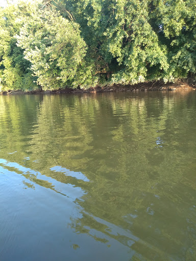 Park «Lou Berliner Park», reviews and photos, 1300 Deckenbach Rd, Columbus, OH 43223, USA