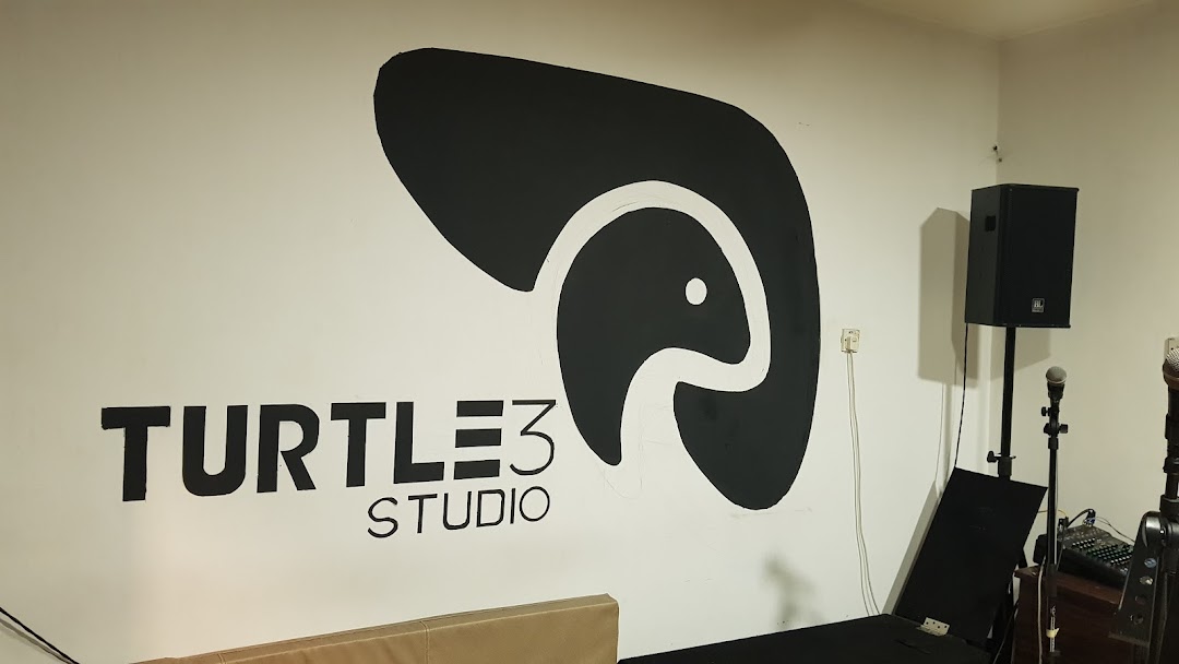 Turtle 3 Studios